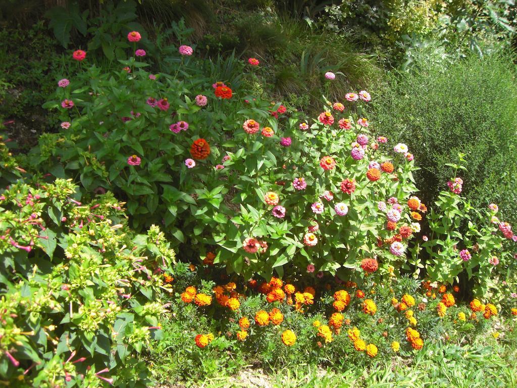 Al Mulino Bed & Breakfast Fregona Bagian luar foto